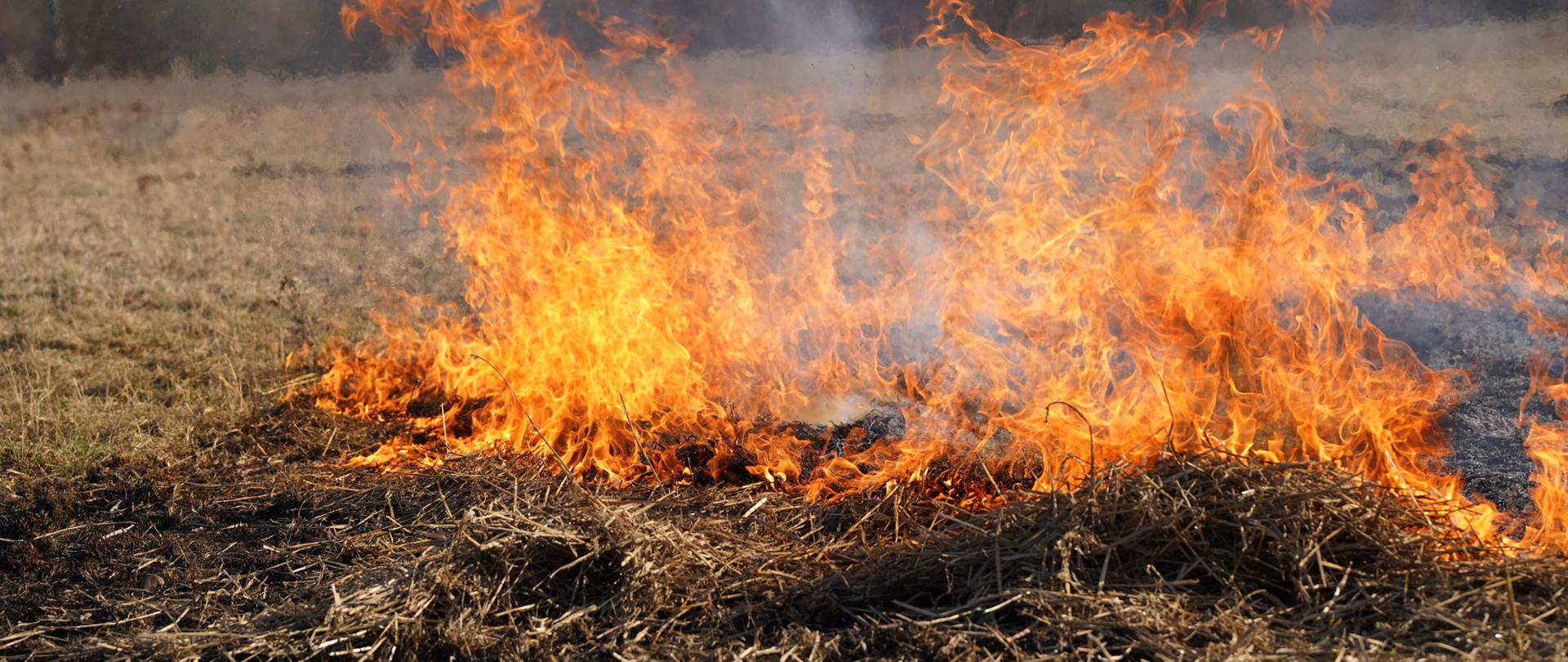 Pożary traw