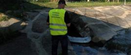 Inspektor Ochrony Środowiska stoi na brzegu zanieczyszczonej rzeki