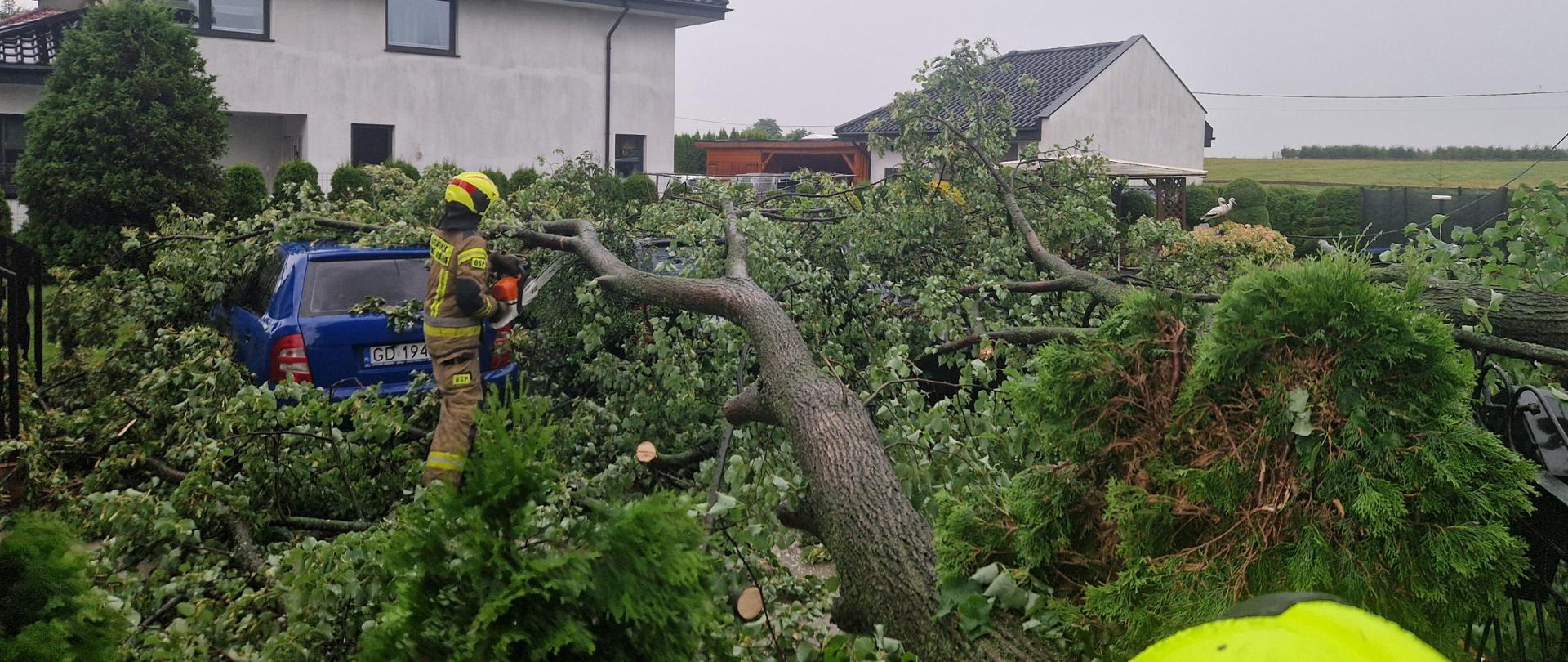 Strażacy podczas cięcia przewróconego drzewa na samochody osobowe