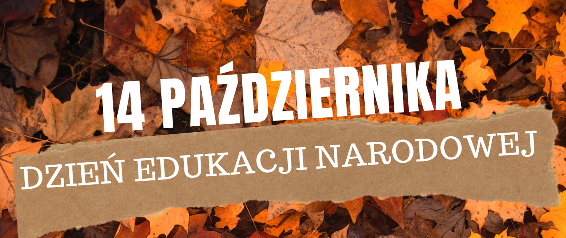 W górnej części obrazka jesienne liście, a na nich biały napis 14 października oraz na brązowym prostokącie biały napis "Dzień Edukacji Narodowej". W dolnej części na brązowym tle czarną czcionką życzenia z okazji Dnia Edukacji Narodowej.