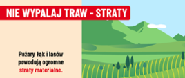 Stop pożarom traw - straty
