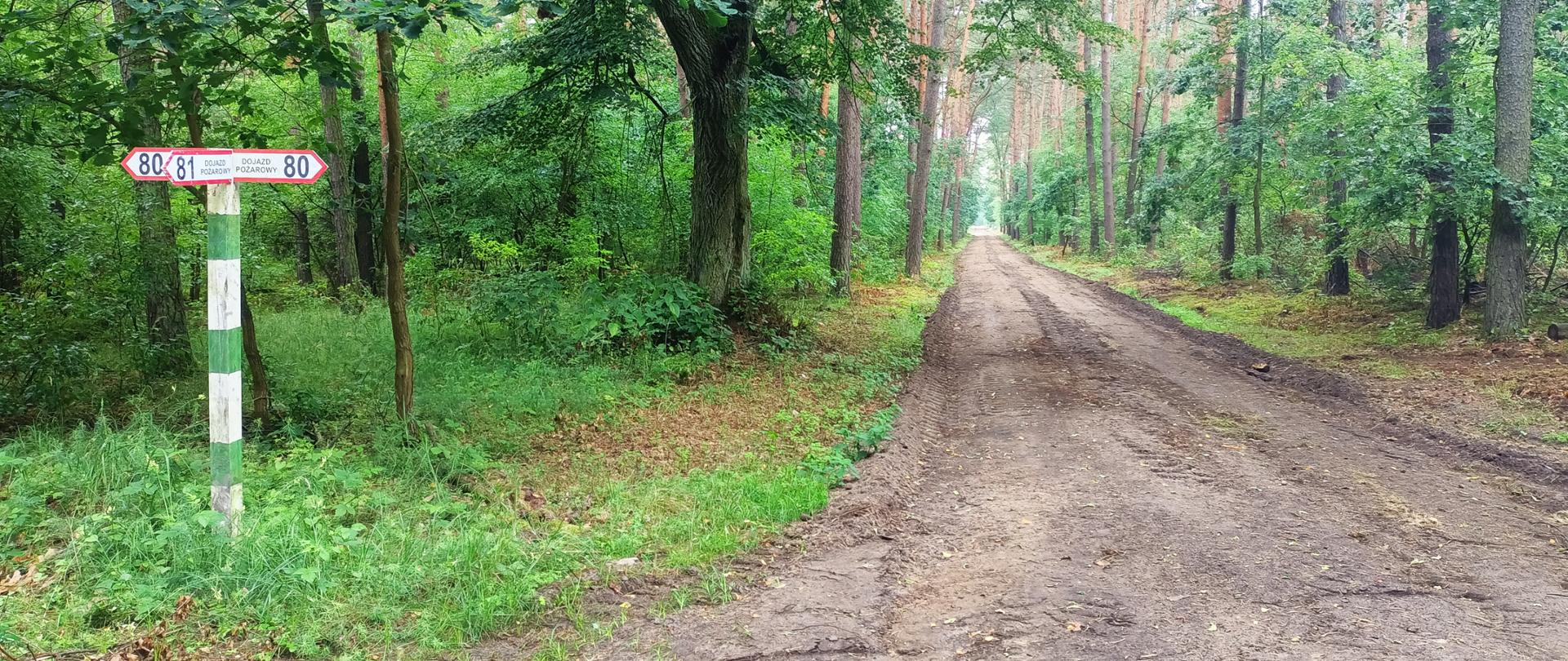 Zdjęcie przedstawia dojazd pożarowy w lesie. Odpowiednio oznakowany czerwona tablica z numerem na biało-zielonym słupku