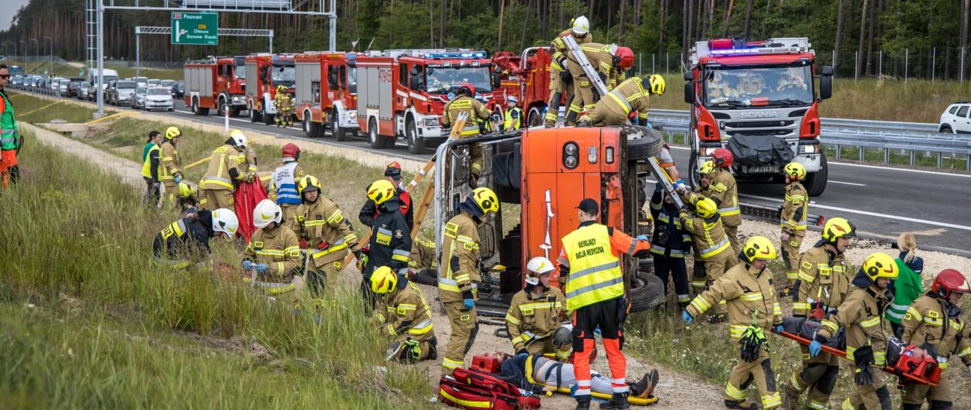 Strażacy PSP i OSP oraz ratownicy medyczni PRM prowadzą działania, ewakuują oraz udzielają kwalifikowanej pierwszej pomocy podczas ćwiczeń związanych z wypadkiem masowym. Ćwiczenia na budowanej drodze S11 koło Olesna. W tle widoczne pojazdy pożarnicze ustawione na jezdni.