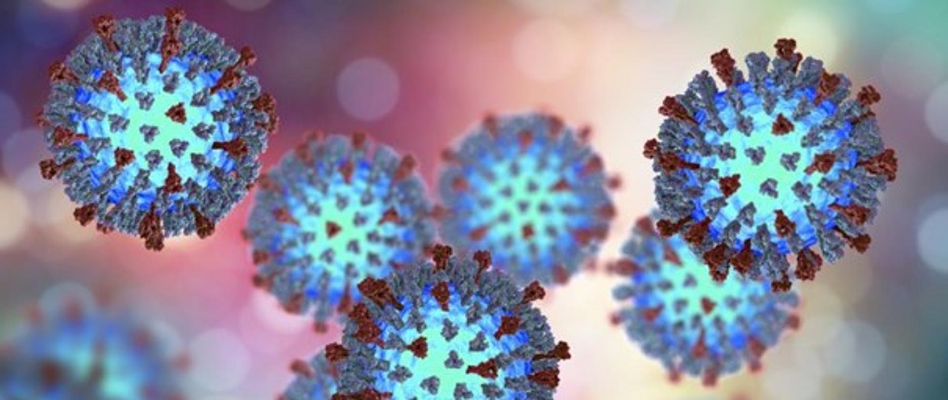 Szczepienie przeciw odrze