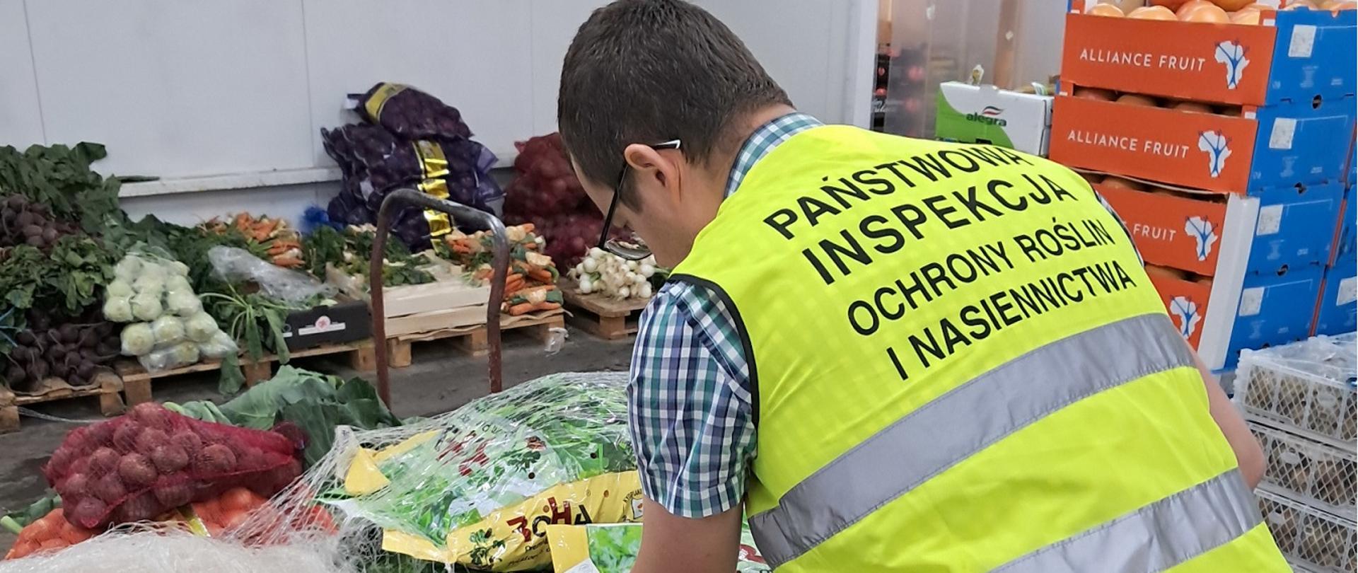 Sprawdzanie poprawności oznakowania partii ziemniaków. Inspektor WIORiN pochyla się nad workami z ziemniakami