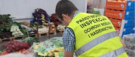 Sprawdzanie poprawności oznakowania partii ziemniaków. Inspektor WIORiN pochyla się nad workami z ziemniakami