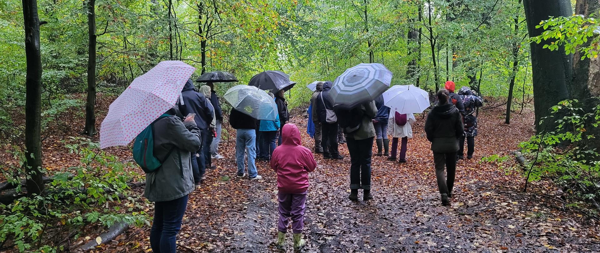 Grupa osób na spacerze w parku z parasolami
