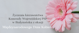 Życzenia z okazji Międzynarodowego Dnia Kobiet - Życzenia z okazji Międzynarodowego Dnia Kobiet napis w kolorze szarym i białym, na jasnym szarym tle, z prawej strony kwiat różowego koloru