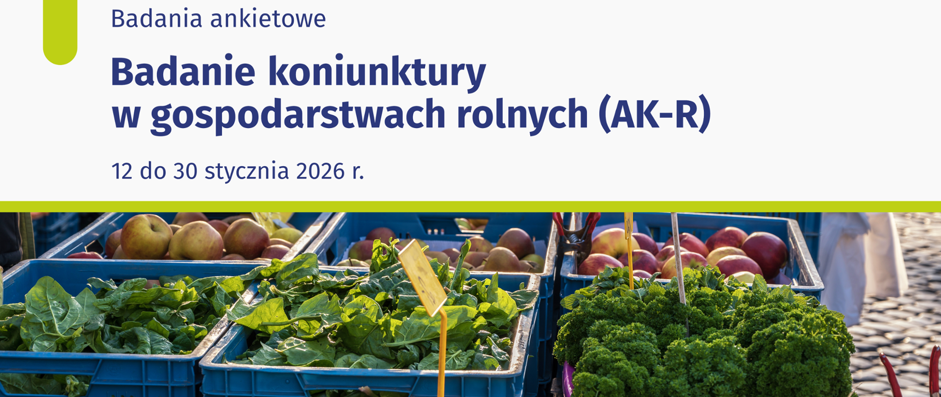 Badanie koniunktury w gospodarstwach rolnych infografika