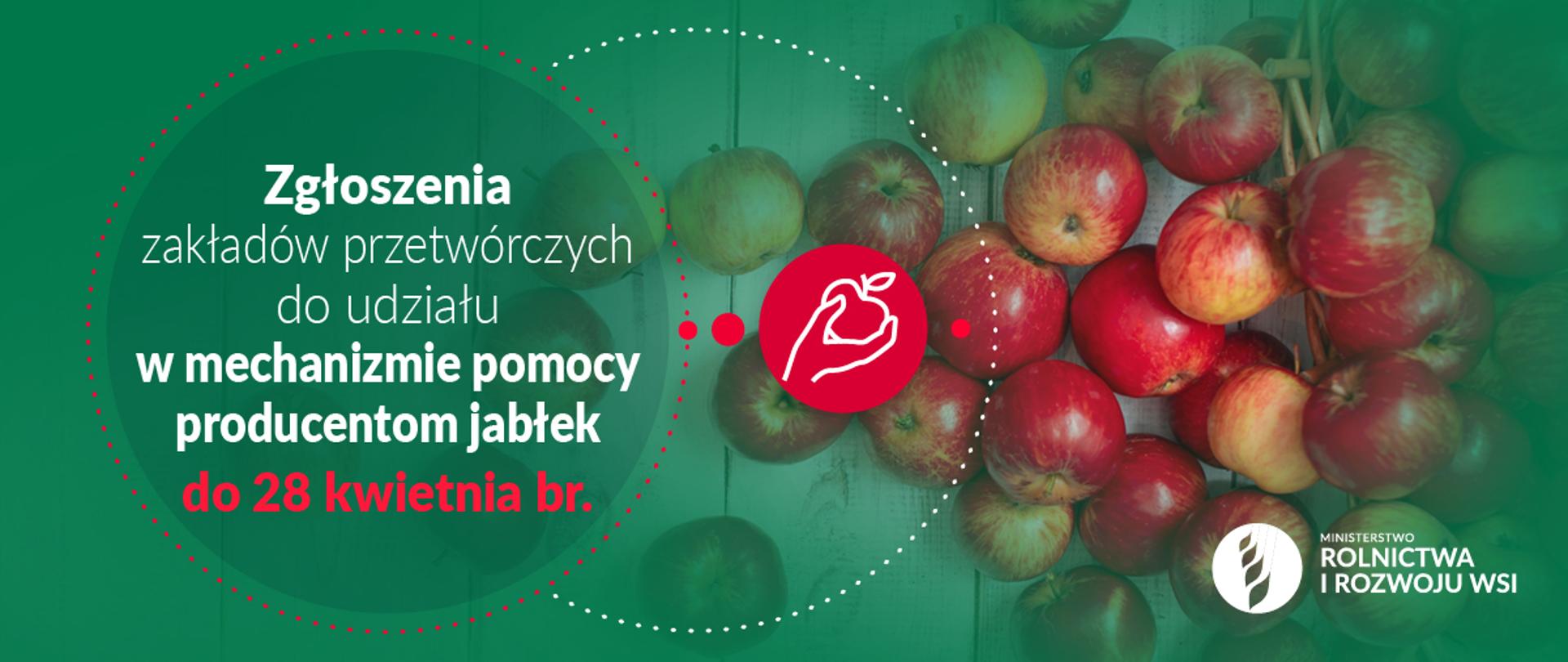 Infografika - Pomoc dla producentów jabłek