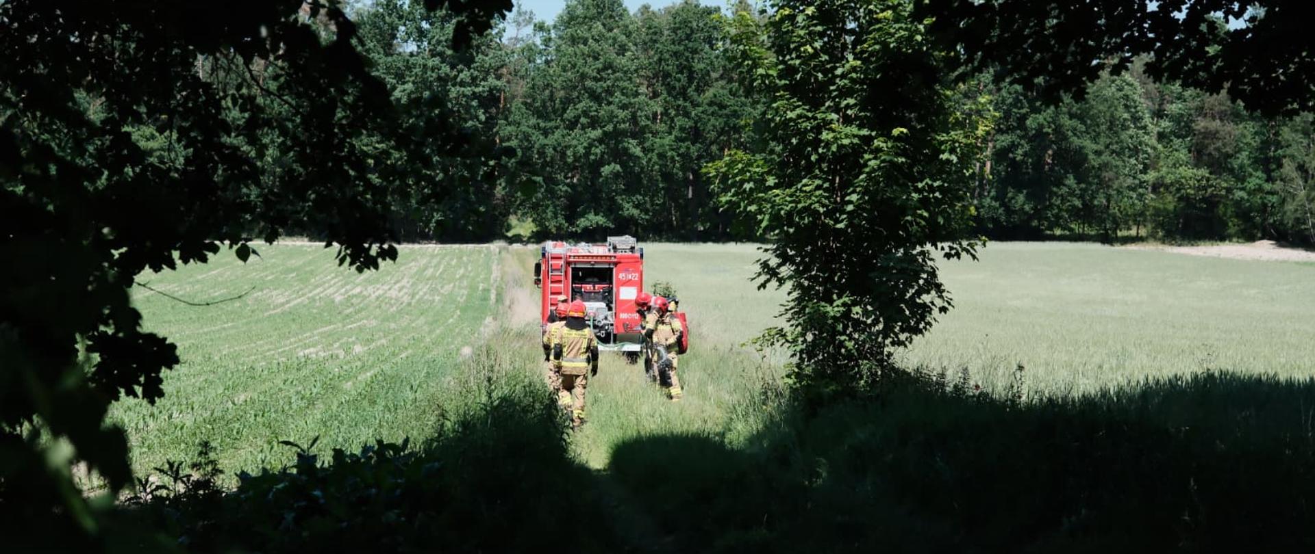 Na zdjeciu widoczni są funkcjonariusze z komendy powiatowej panstwowej strazy pozarnej w czasie ćwiczeń ubrani i wyposażeni w sprzęt do walczanie z pożarami na terenach niezurbanizowanych.