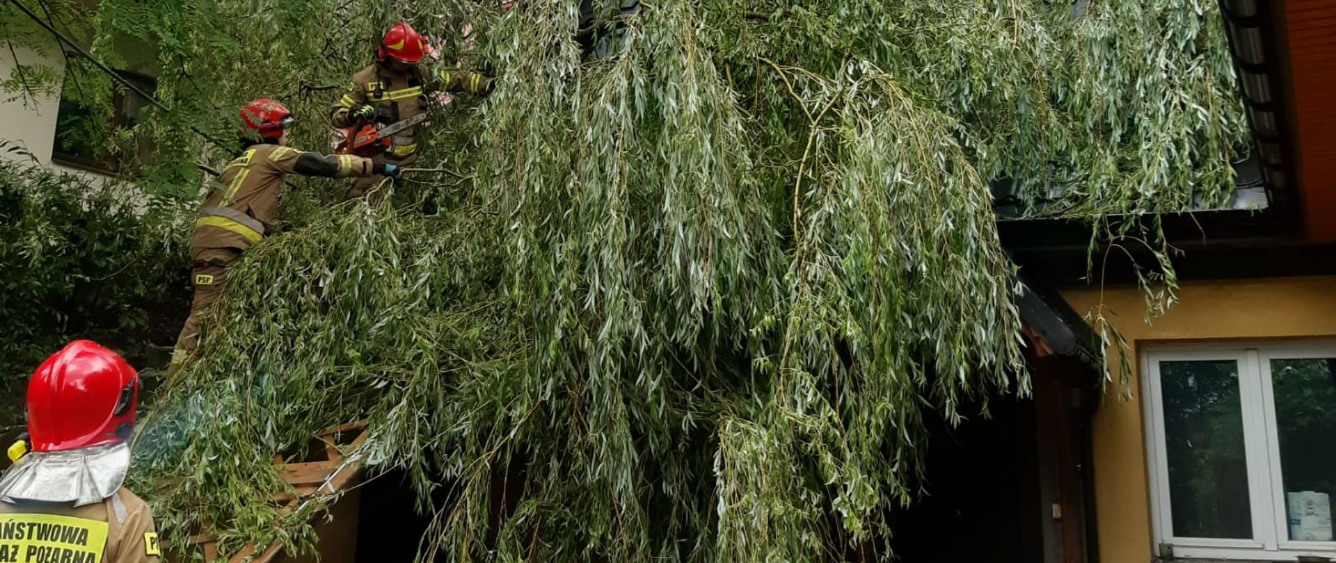 Skutki nawałnicy w Zakopanem 