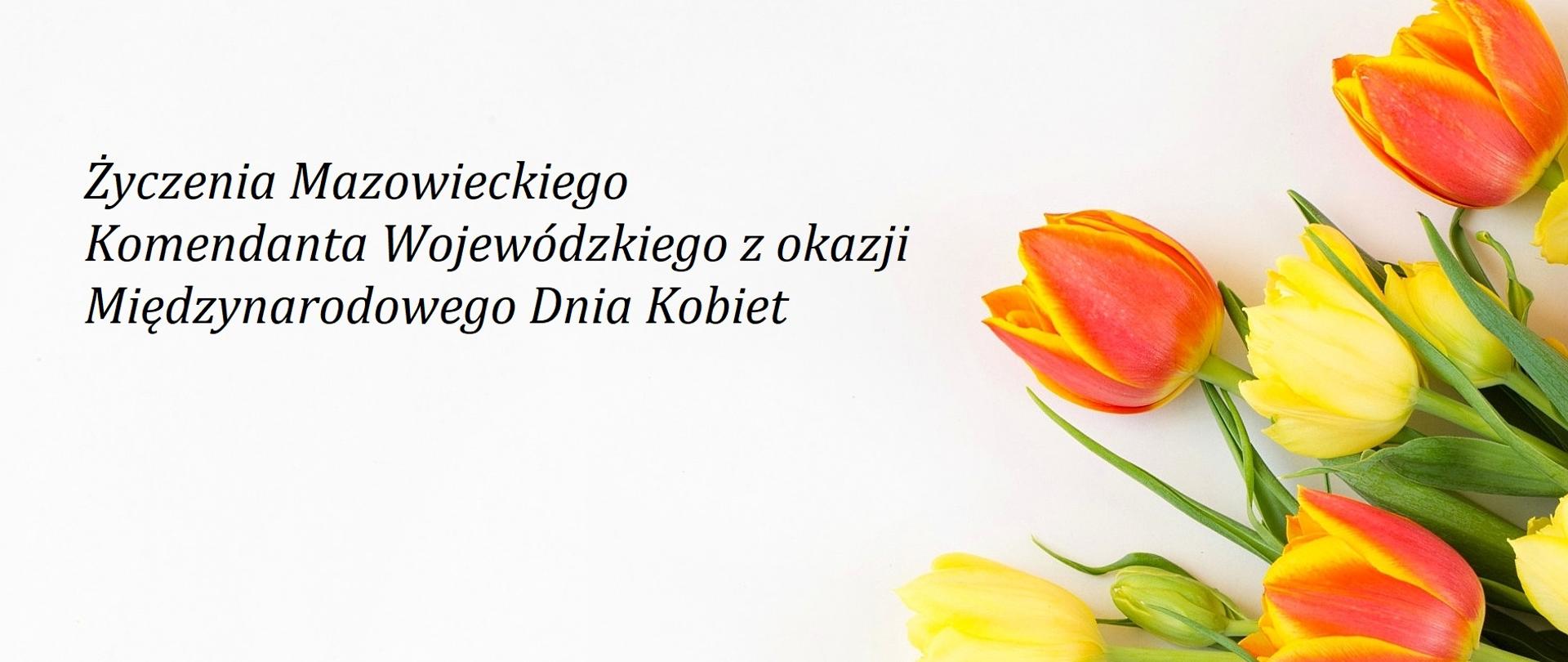 Życzenia z okazji dnia kobiet na białym tle po prawej stronie bukiet tulipanów.