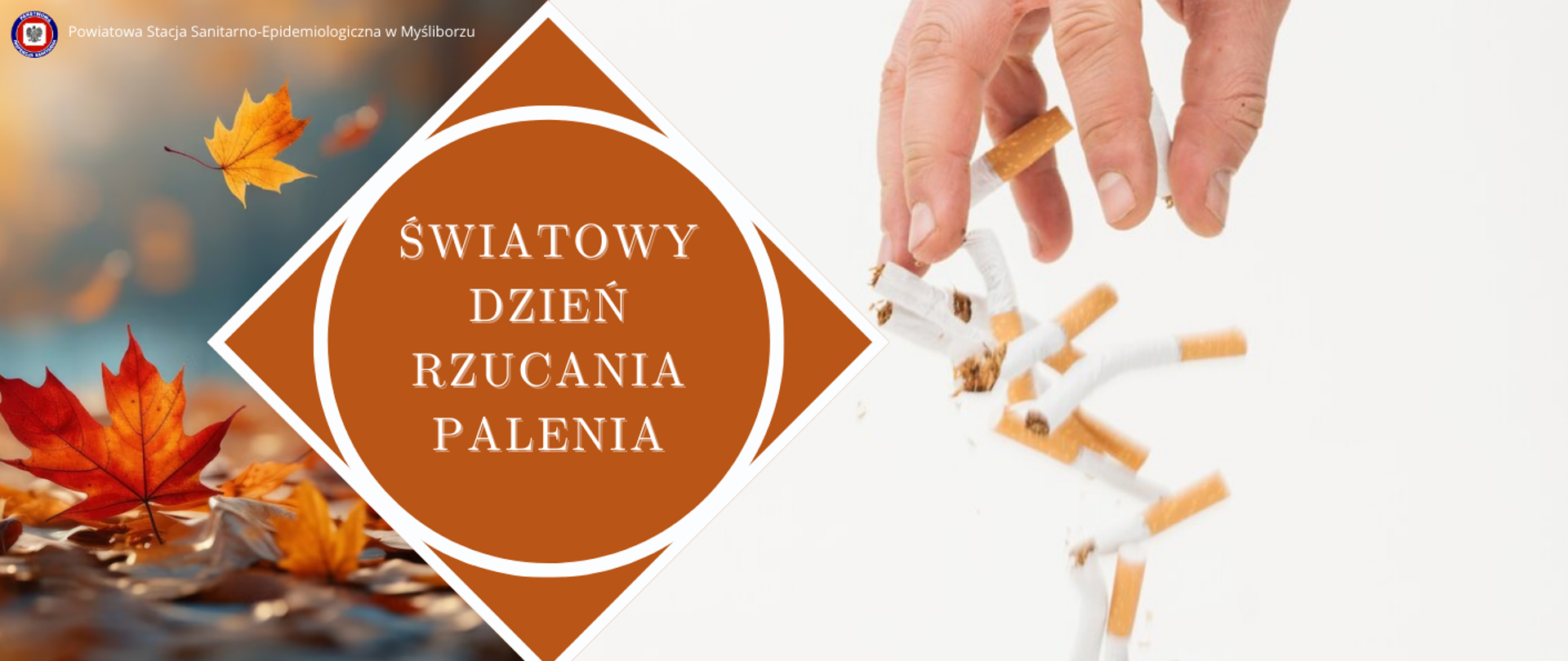 Baner Światowy Dzień Rzucania Palenia
