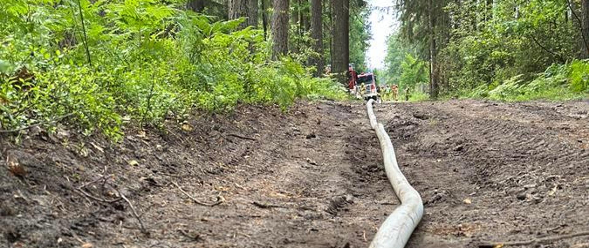 Ćwiczenia na obszarach leśnych „Dzięciołek 2024”