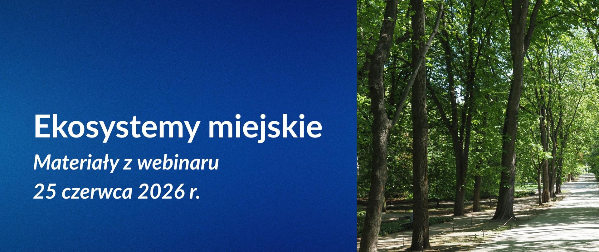 grafika do aktualności