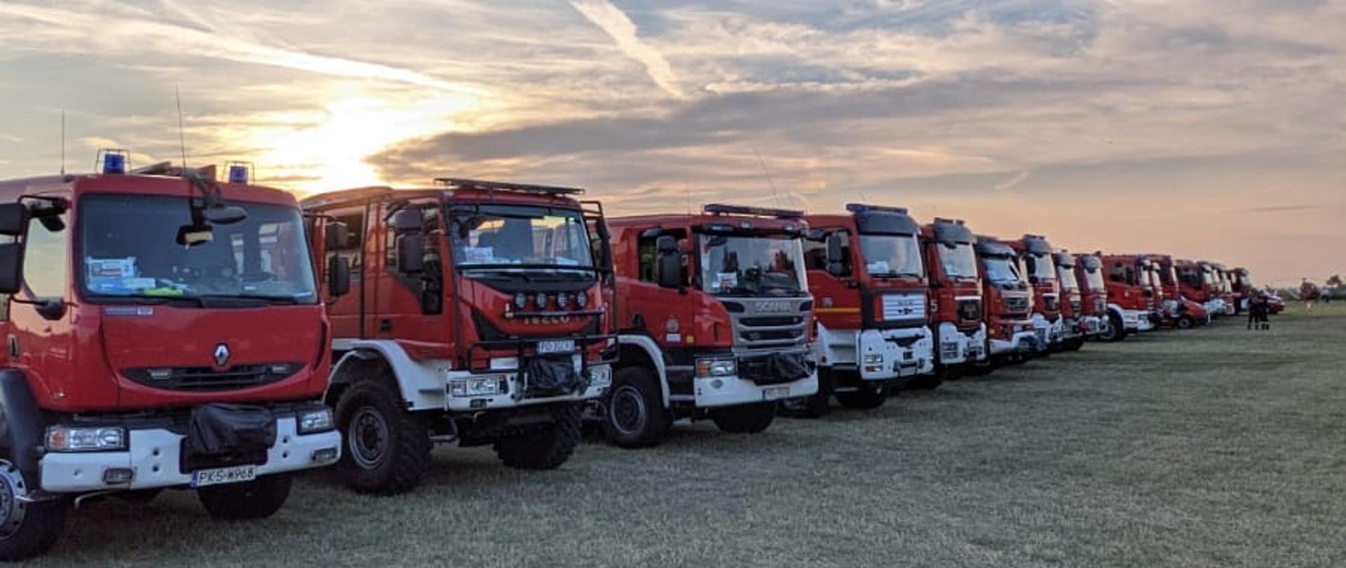 Polscy strażacy w Grecji