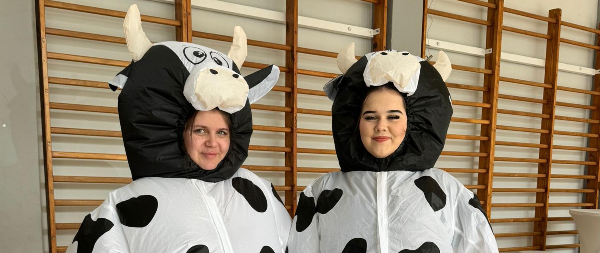 Dwie uczennice ZSCKR w Samostrzelu w dmuchanych strojach krów w łaty. Dziewczyny pozują na sali gimnastycznej podczas wydarzenia Święto Krowy.