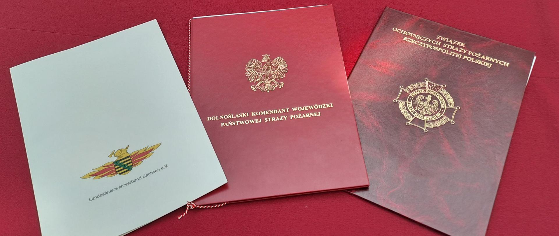 Trójstronny plan współpracy Polsko-Niemieckiej na Rok 2024 r.