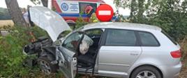 Zdjęcie to zbliżenie na miejsce uderzenia auta w drzewo. Drzewo nie ma kory. Przy drzewie stoi strażak. Auto jest koloru srebrnego.