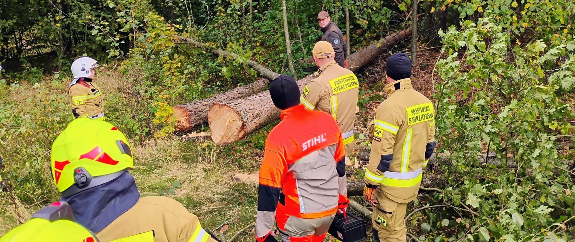 Strażacy i instruktorzy z Lasów Państwowych podczas ćwiczeń