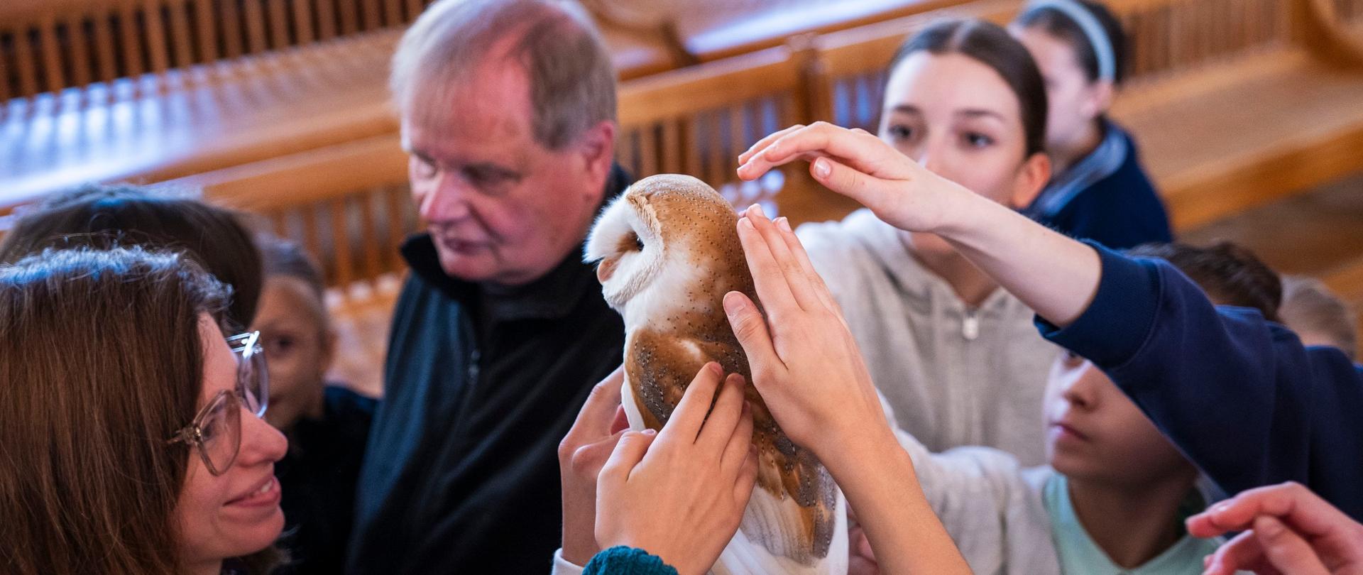 Spotkanie z sowami - zdj. Piotr Witkowski