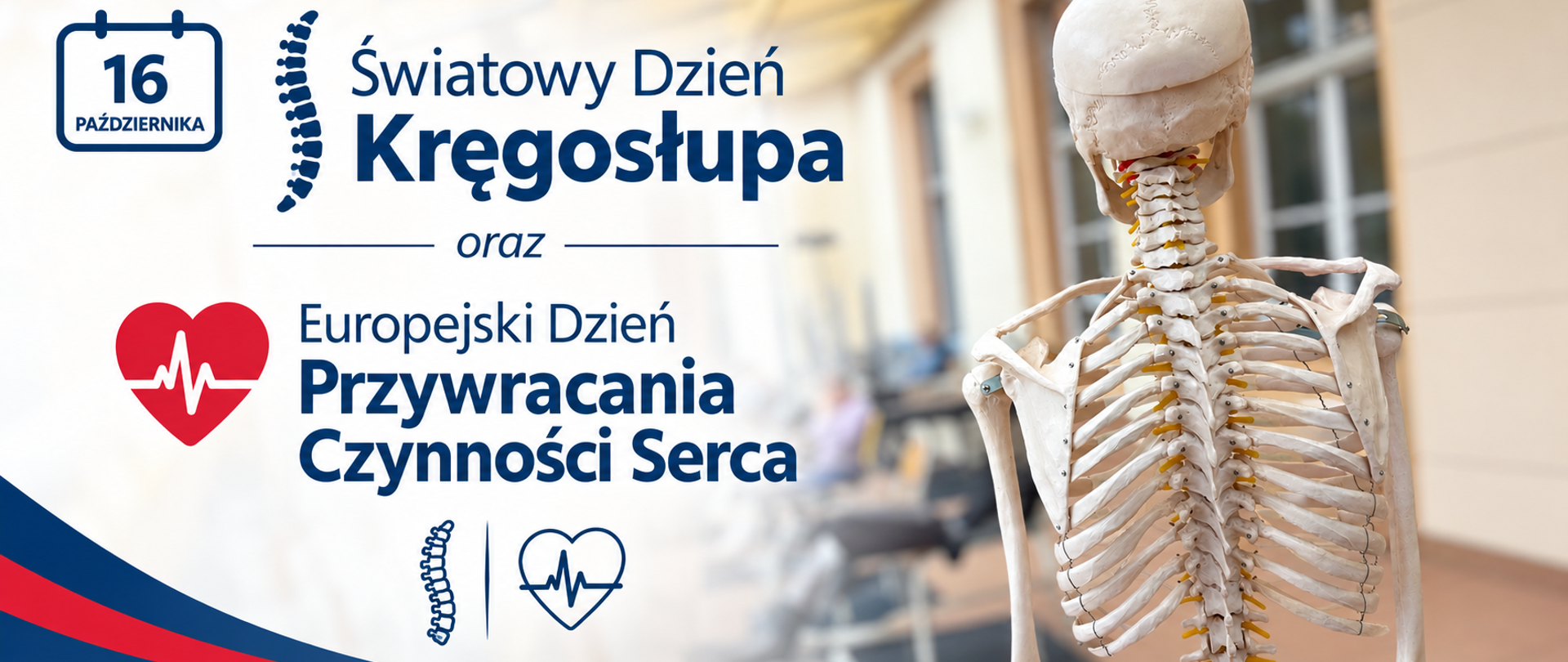 Od profilaktyki kręgosłupa po resuscytację, czyli jak dbać o zdrowie i pomagać innym.