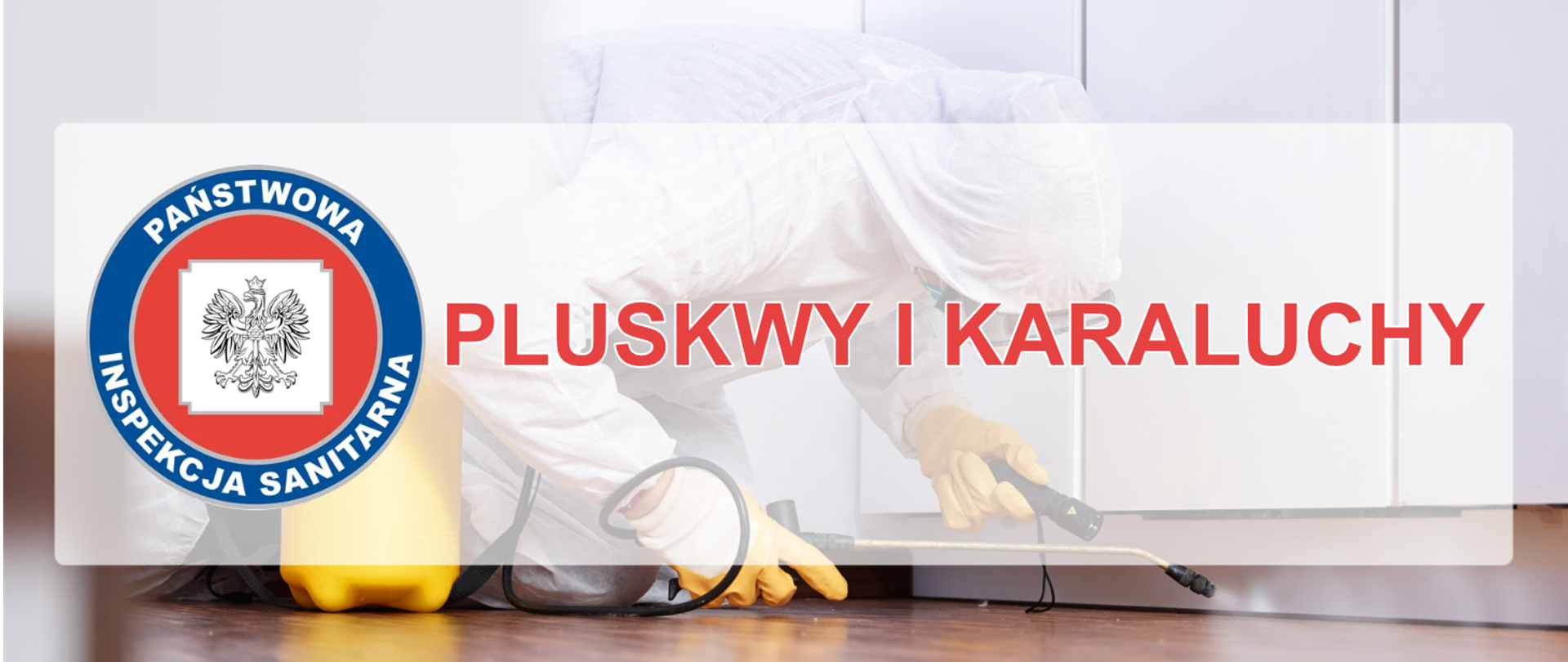 PLUSKWY I KARALUCHY 