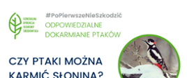 PoPierwszeNieSzkodzić – ptasie dokarmianie