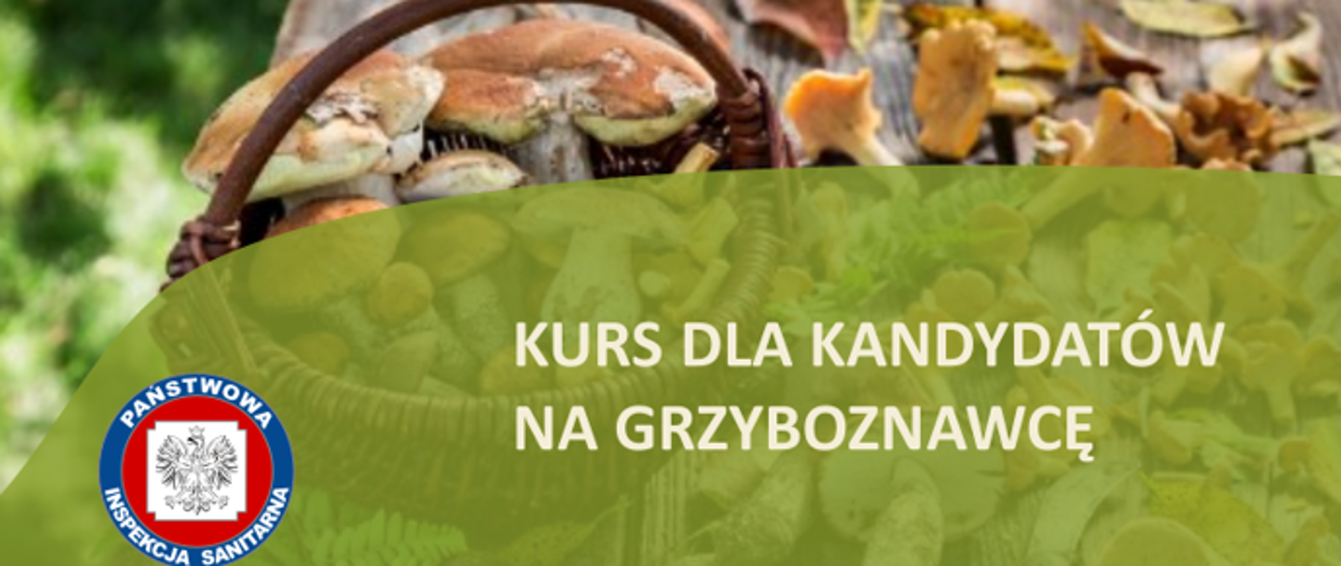 Kurs dla kandydatów na grzyboznawcę