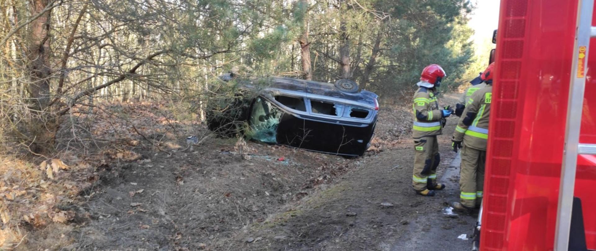 Zdjęcie przedstawia miejsce wypadku drogowego w lesie, gdzie ciemny samochód osobowy leży przewrócony na bok, z kołami skierowanymi w stronę nieba. Samochód znajduje się na piaszczystym, leśnym podłożu, częściowo w zagłębieniu. Obok przewróconego pojazdu stoją dwaj strażacy w pełnym umundurowaniu ochronnym, w hełmach i odblaskowych kombinezonach, oceniający sytuację. W prawym dolnym rogu zdjęcia widoczna jest część czerwonego wozu strażackiego, prawdopodobnie biorącego udział w akcji ratunkowej. Tło stanowią liczne, nagie drzewa liściaste oraz sosny, typowe dla lasu. Podłoże jest pokryte suchymi liśćmi i igliwiem. Oświetlenie jest jasne, co wskazuje na dzień. Scena sugeruje, że samochód wypadł z drogi i przewrócił się, a służby ratownicze są na miejscu.