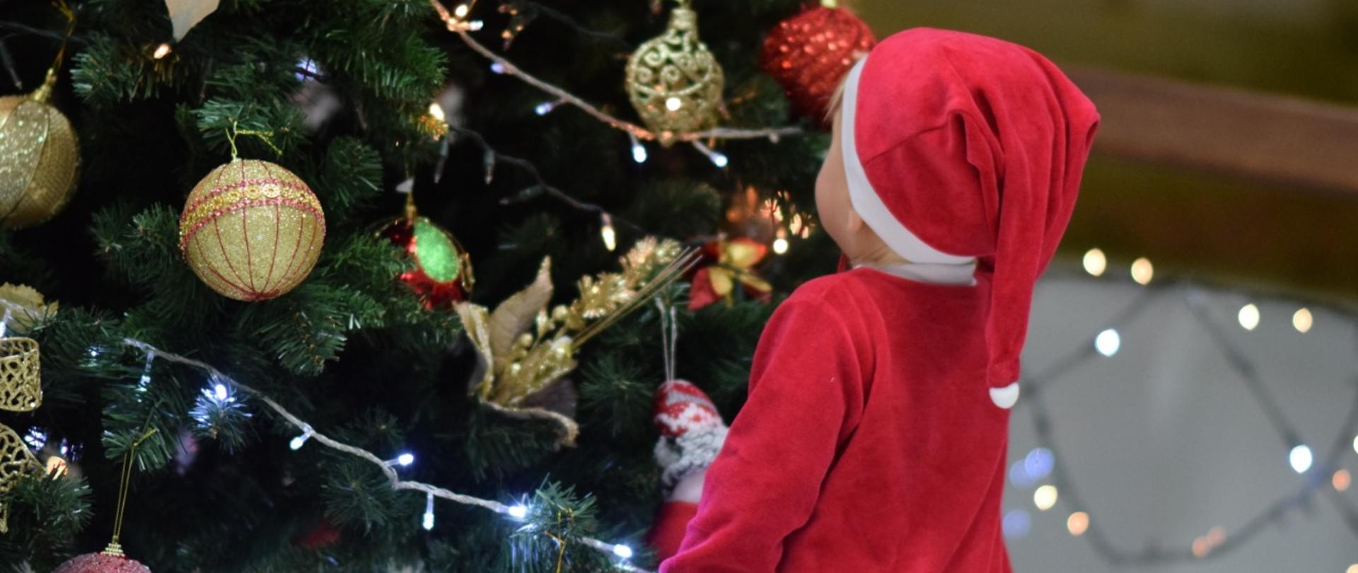 Spotkanie wigilijne w Ambasadzie