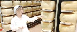proces przemiany świeżego mleka w szlachetne kręgi Parmigiano Reggiano
