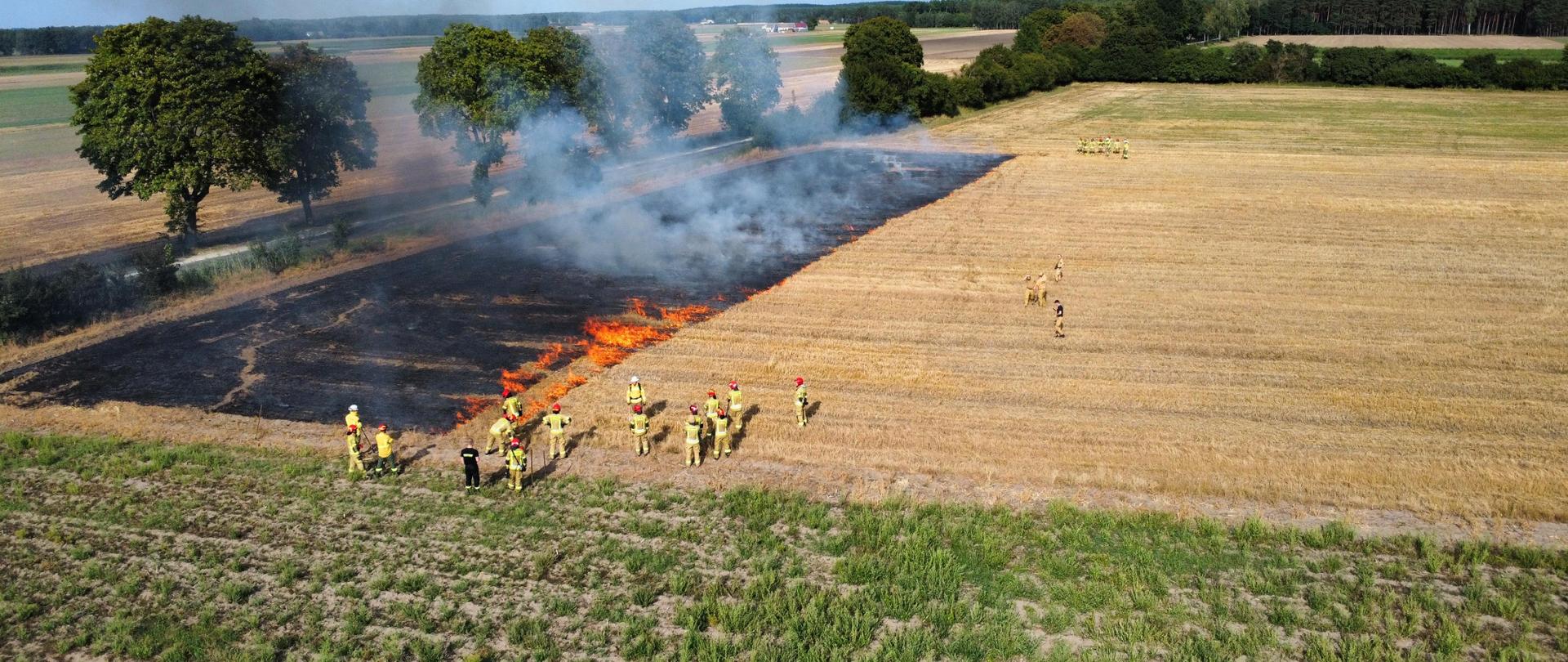 widok z drona - palące się pole i grup strażaków , w tle drzewa i jezdnia