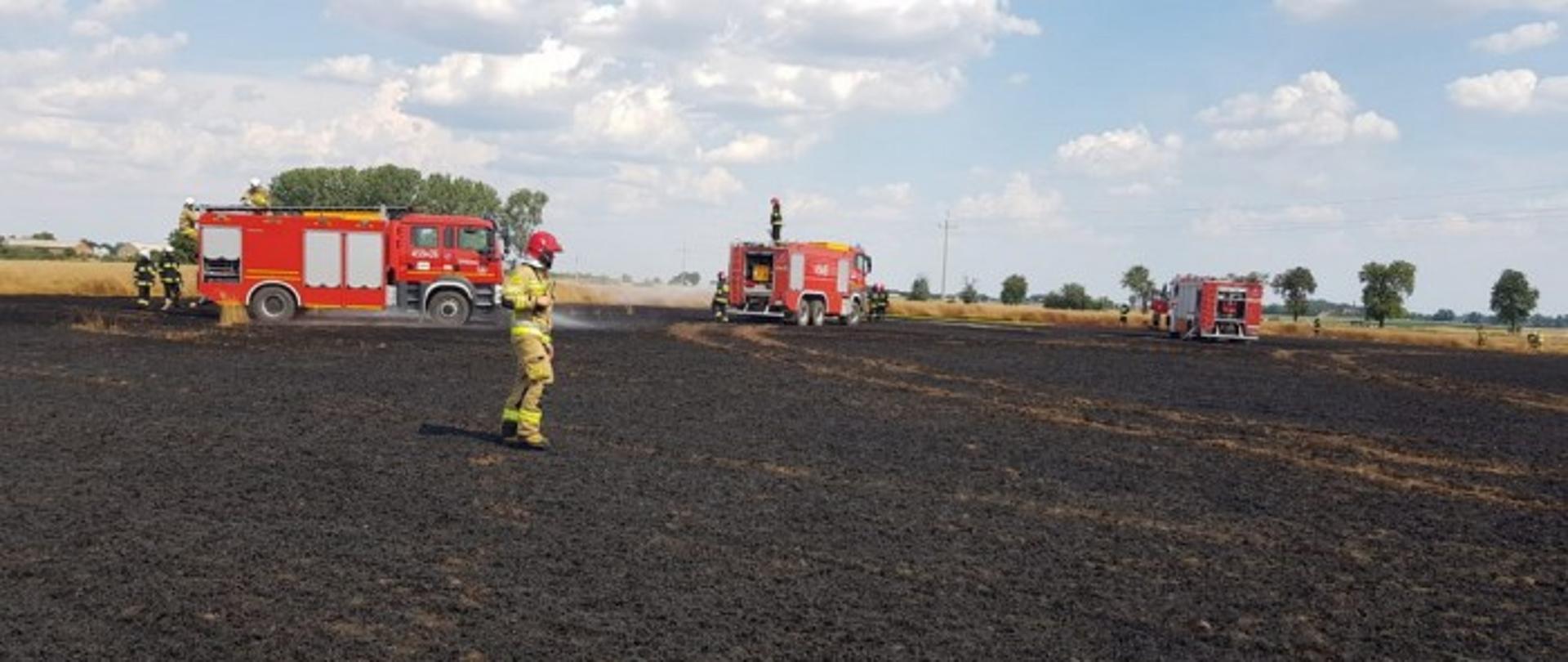 Spłonęło pięć hektarów zboża na pniu