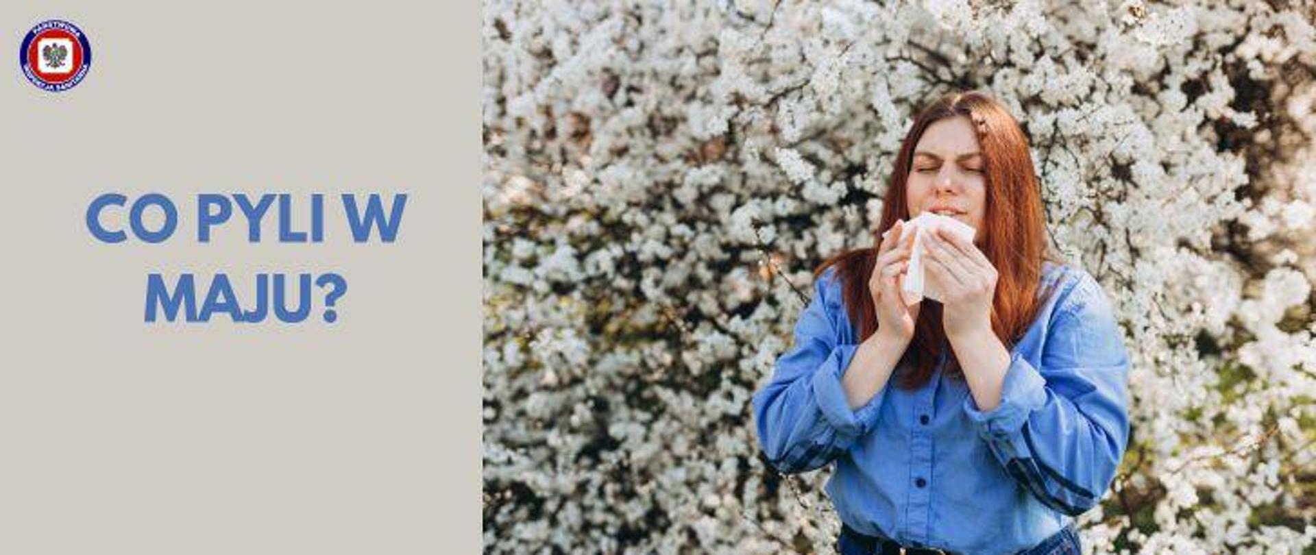 Po lewej kobieta w niebieskiej bluzce stojąca na tle kwitnącego drzewa trzyma przy ustach białą chustkę. Po lewej na szaro-beżowym tle niebieski napis co pyli w maju?. W lewym górnym rogu logo Państwowej Inspekcji Sanitarnej.