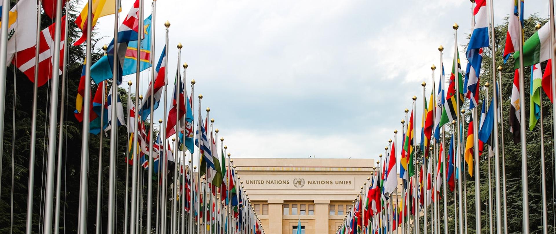Na pierwszym planie znajdują się dwa rzędy flag z różnych państw świata, w tle Pałac Narodów - siedziba Organizacji Narodów Zjednoczonych w Genewie.