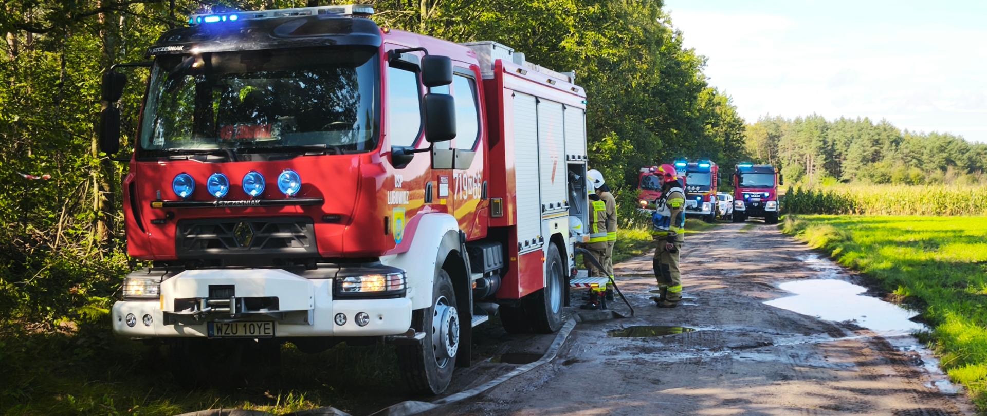 To zdjęcie dokumentuje ćwiczenia strażackie w terenie leśnym. Na pierwszym planie widać duży, czerwony wóz strażacki, a obok niego dwóch strażaków przygotowujących sprzęt. W oddali widać kolejne wozy, co sugeruje zaangażowanie większej liczby jednostek.