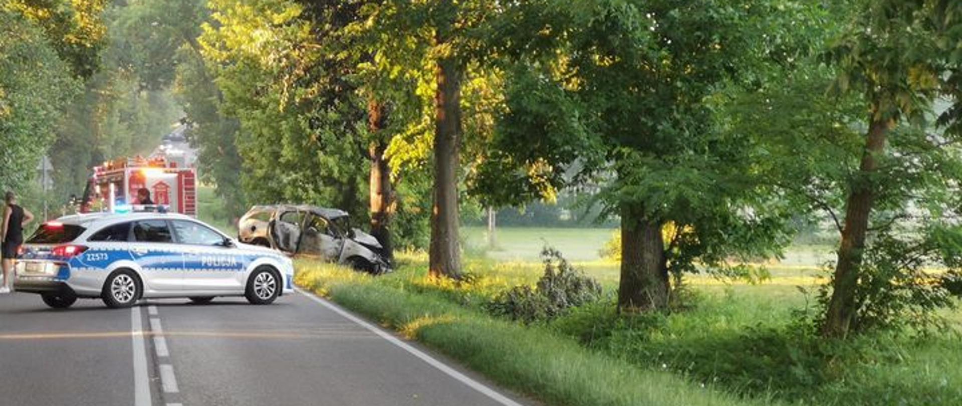 Samochód osobowy uderzył w przydrożne drzewo
