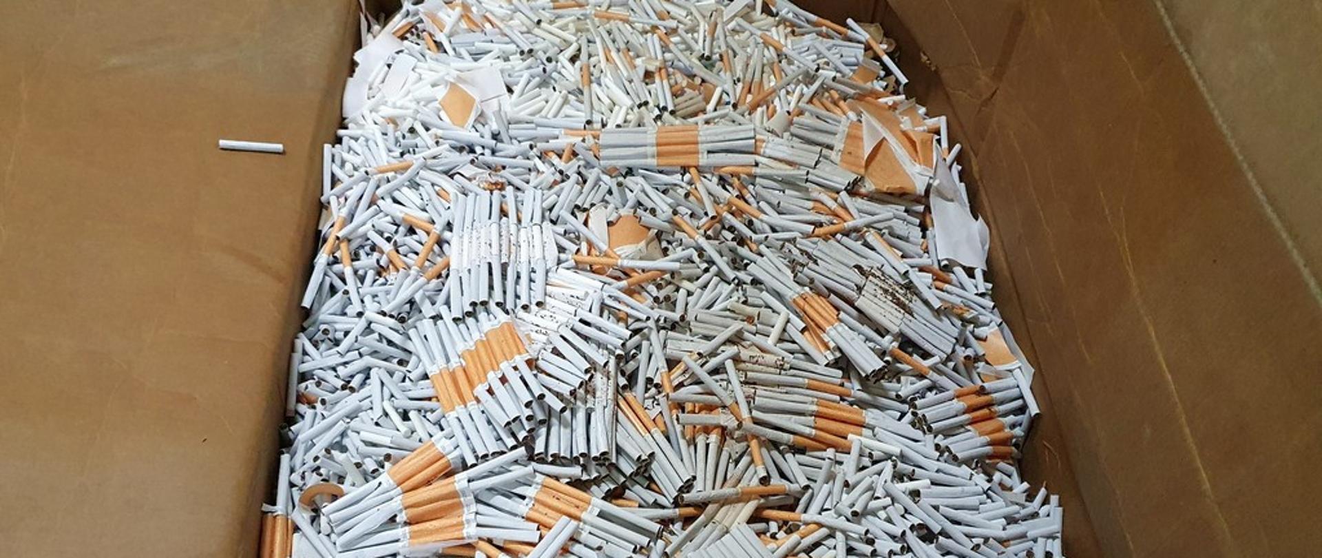 Gilzy papierosowe w kartonie.