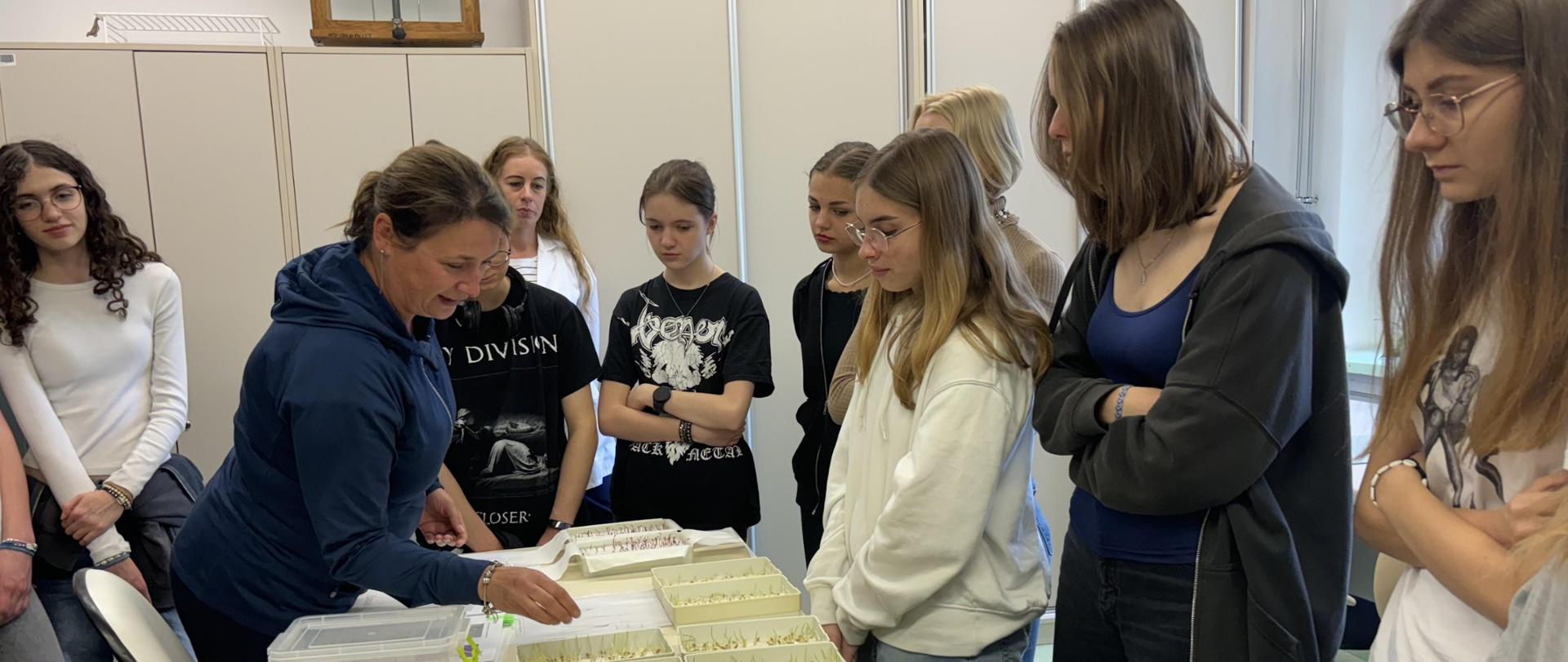 Różnorodność wśród siewek warzyw i zbóż