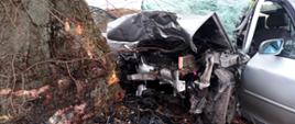 Zdjęcie przedstawia samochód marki Audi po uderzeniu w drzewo