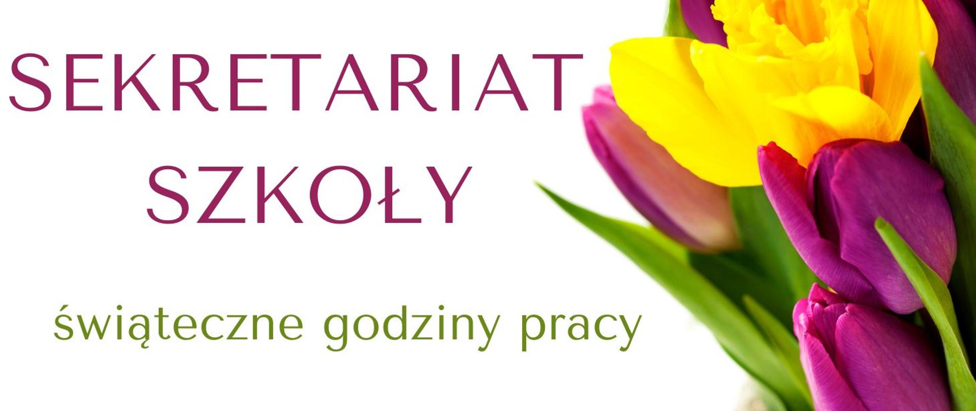 Baner z napisem "sekretariat szkoły, świąteczne godziny pracy". Po prawej stronie żółte i fioletowe tulipany. Białe tło.