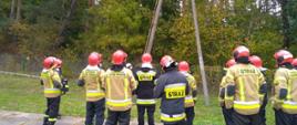 Strażacy Państwowej Straży Pożarnej stoją pod słupem energetycznym.