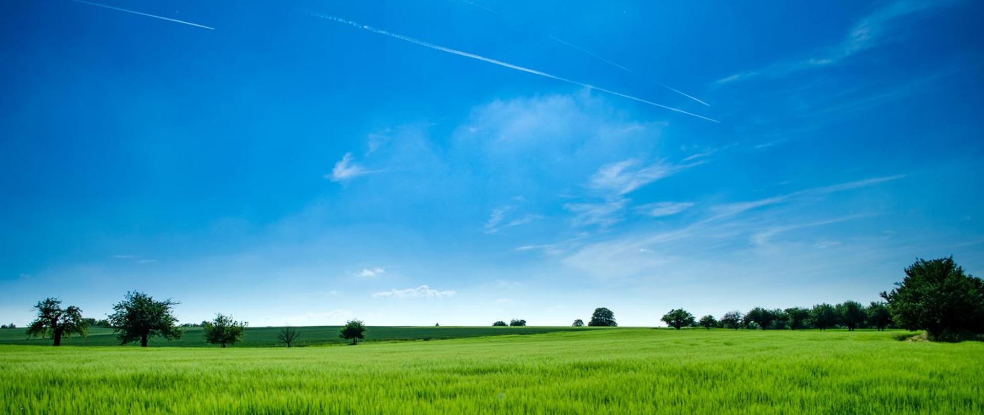 Ustawa o wspieraniu termomodernizacji przyjęta przez Radę Ministrów