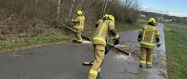 Strażacy usuwają skutki silnego wiatru