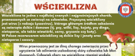 Wścieklizna ulotka informacyjna 1