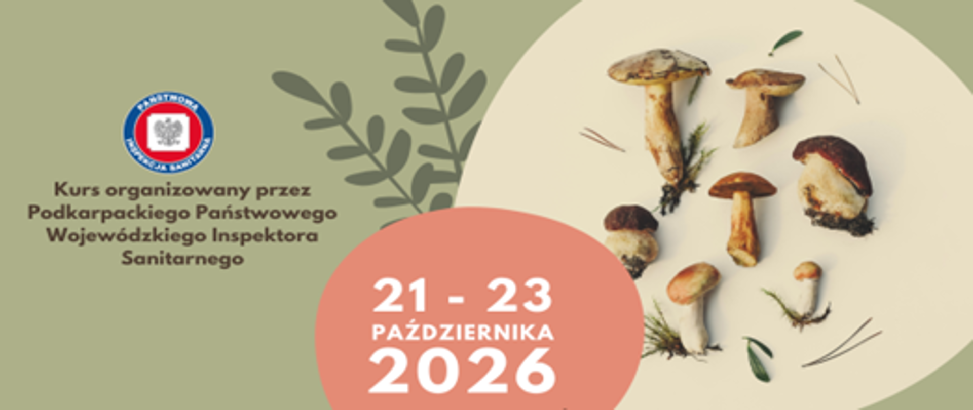 Kurs dla kandydatów na KLASYFIKATORA GRZYBÓW (w terminie 21-23 października 2026 r. w Ośrodku Dębowy Dwór w Rudzie Różanieckiej)
