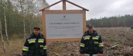 Zdjęcie przedstawia strażaków stojących przy tablicy upamiętniającej sadzenie lasu.