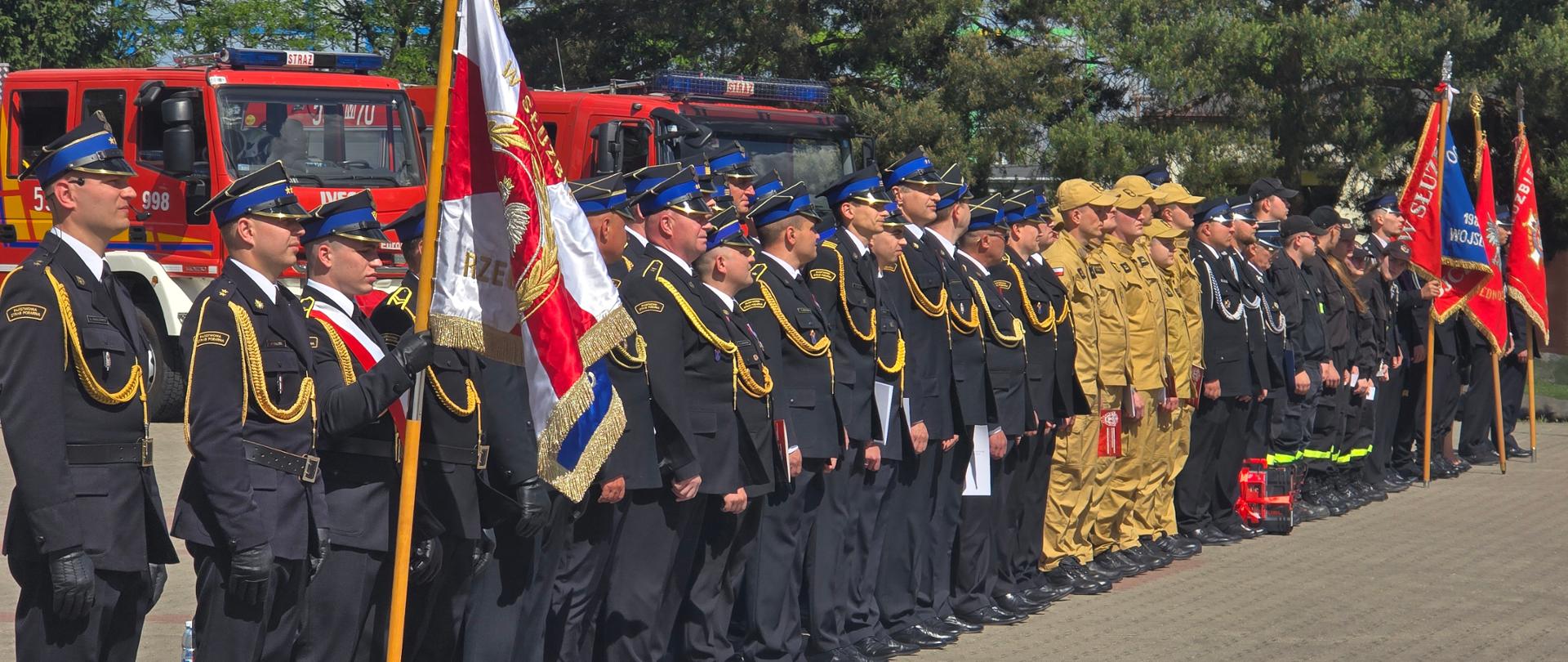Panoramiczne zdjęcie przedstawiające długi szereg strażaków stojących na baczność podczas oficjalnego apelu. Szereg ciągnie się ukośnie od lewego dolnego rogu w głąb prawego boku zdjęcia.
Poczet sztandarowy: Na samym przodzie (po lewej) stoi poczet sztandarowy. Jeden ze strażaków trzyma pionowo duży, bogato zdobiony biało-czerwony sztandar ze złotymi frędzlami.
Pierwsza, najdłuższa część szeregu to strażacy w ciemnogranatowych mundurach wyjściowych i czapkach rogatywkach W środku szeregu stoi grupa strażaków w jasnopiaskowych (beżowych) mundurach służbowych i czapkach z daszkiem.
Na samym końcu szeregu (po prawej) widać strażaków w czarnych mundurach koszarowych oraz inne poczty sztandarowe.
Za plecami strażaków stoją zaparkowane bokiem duże, czerwone samochody ratowniczo-gaśnicze z włączonymi niebieskimi sygnałami świetlnymi. W tle rosną wysokie, zielone drzewa, a niebo jest bezchmurne. Plac jest jasny i w pełni nasłoneczniony.